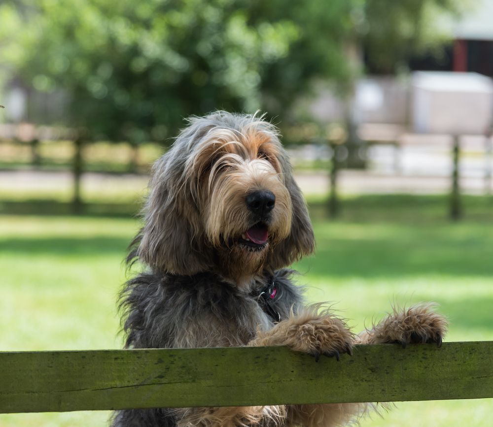 Editorial: July 16, 2021